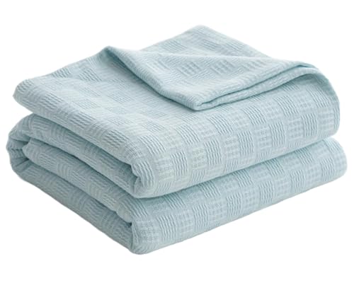 jbguPbgyʒʋCRbgK[[\tgSn̗ǂJE`\t@p Cgu[ 150x200cm