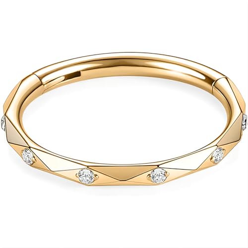 LunaLoop Gold Nose Rings Hoops for Women Silver Septum Rings 16g 8mm/10mm Nose Piercings Jewelry 316L Surgical Steel Conch Rook Helix Piercing Jewelry CZ Cartilage Hoop Earring for Men