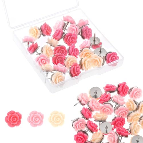 30 t[vbVs vbVsZbg RN{[h^bN e P[Xt 킢e fe ItBX z[ʐ^ ͂ n} 