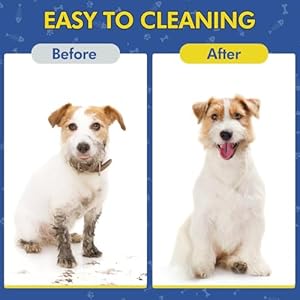 Pet-Wipes-400-Dog-Wipes--8x8-Inch-Unscented-Dog-Paw-Cleaner-Wipes-for-Body-Ears-Face-and-Skin-Ultra-Thick-Soft-with-Hypoallergenic-Formula-Ideal-Pet-Wipes-for-Dogs-Cats - Cucciolini Doodles   Pet-Wipes-400-Dog-Wipes--8x8-Inch-Unscented-Dog-Paw-Cleaner-Wipes-for-Body-Ears-Face-and-Skin-Ultra-Thick-Soft-with-Hypoallergenic-Formula-Ideal-Pet-Wipes-for-Dogs-Cats