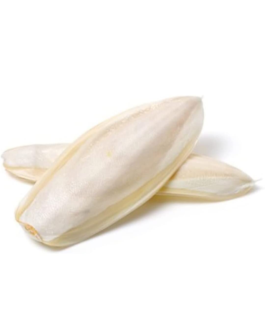 The Pets Guide Cuttlefish Bone,High Natural Calcium for Cockatiels Finches Budgies Lovebirds,African,Macaws,Conures,Parrots,200 Grams Cuttlefish Bone, Kanava Naaku for Birds (Kanava Fish) (B0BYXRQX56) Amazon Price History, Amazon Price Tracker