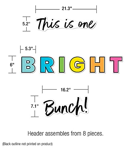 Carson Dellosa Kind Vibes Bulletin Board Set—This is One Bright Bunch Motivational Header with Sunglasses and Sun Cutouts, Bulletin Board Decor (39 pc)