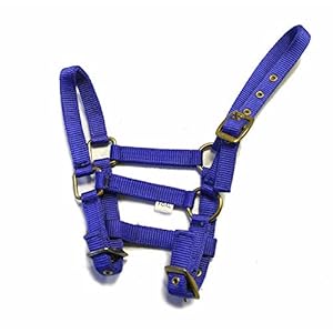 Rhinegold Nylon Foal Headcollar