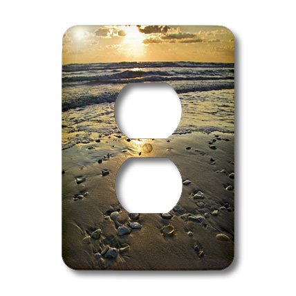Coque 2 plug outlet Larry Ditto coquillages de plage Padre Island Texas US44