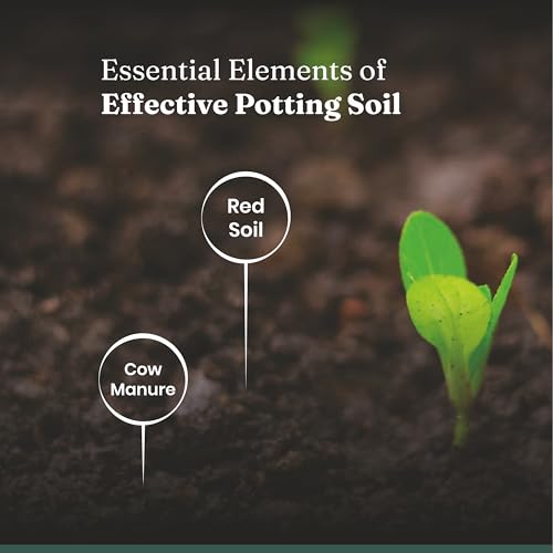 Image of Kyari Potting Soil Ready to use mix - 10 KG for Plants - Contains Organic Compost