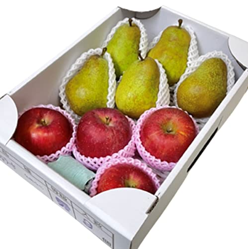 果物 詰め合わせ りんご ラ・フランス 果物ギフト 果物セット フルーツセット 山形県産 約 3kg (7〜9玉) 盛り合わせ ギフト 贈答用 ご自宅用 果物セット ラ・フランス サンふじ バラード ふじ フルーツ 果物