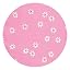Pink Daisies