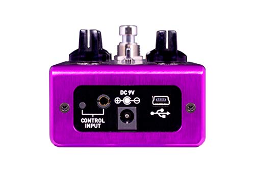 Kingmaker Fuzz Source Audio SA 245 double processeur de saturation