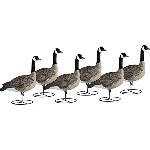 Dakota Decoy 19700 Waterfowl Hunting Signature Series Sentry Geese (6 Pack)