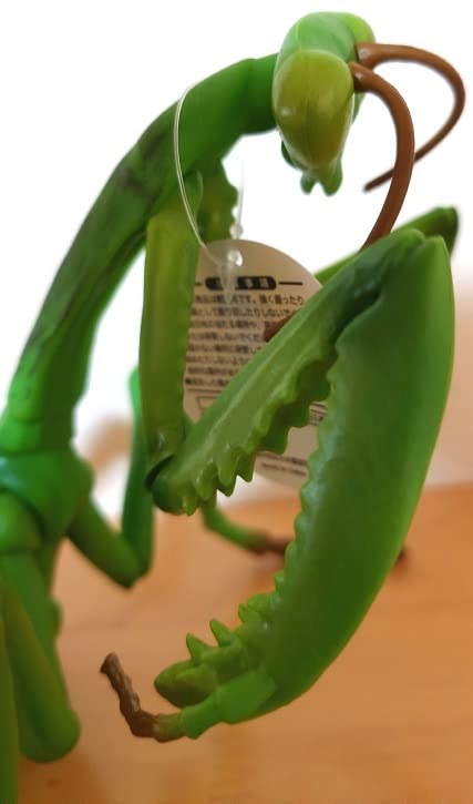 カマキリ　昆虫　フィギュア　BIG　大きい　オオカマキリ　2点 Amazon.co.jp: BIG カマキリ 3 昆虫 フィギュア オオカマキリ