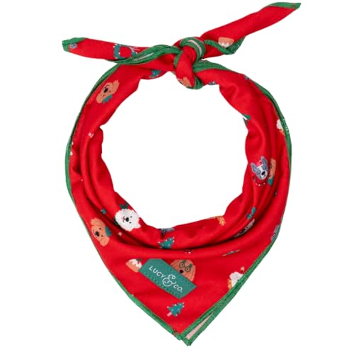 Pañuelo navideño para perro pequeño Lucy & Co