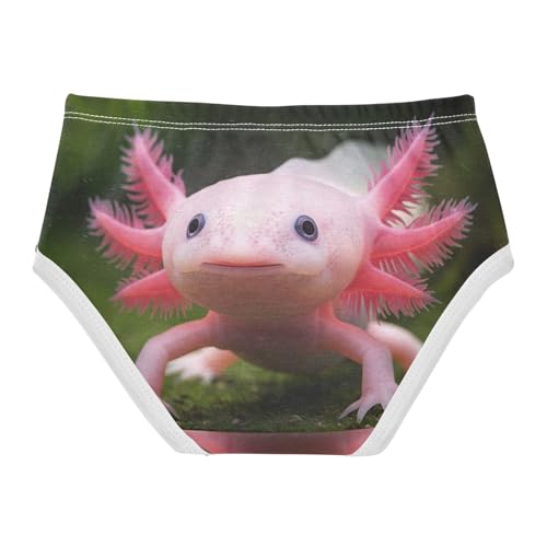 Cute Axolotl Funny Panties Little Girl Toddler Underwear Custom Cotton Personalized Kids Undies Briefs 2t2