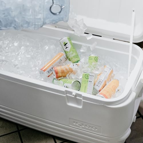 Igloo Polar 120 Qt. Cooler - image 7