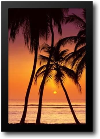 Tropical Sunset 28x40 Framed Art Print