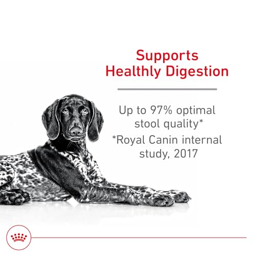 Royal Canin Canine Care Nutrition Large Digestive Care Adult Dry Dog Food, 30 lb Bag