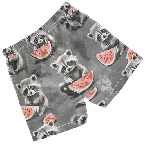 Pigsaly Boys' Swim Board Shorts Watermelon Grey White Funny Raccoon Boy's Swim Trunks Kids Swimwear XS2