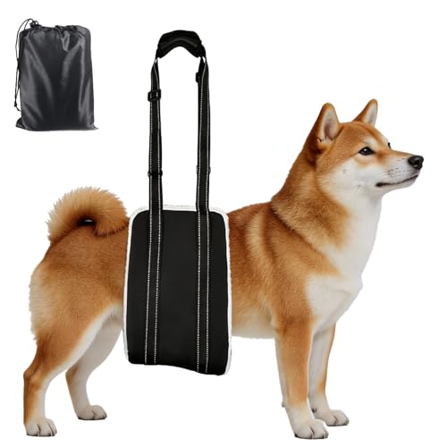 GASGYAI Harnais réglable pour Chien,Harnais de Soutien et de Levage pour Pattes arrière de Chien,pour Chiens Seniors,Convalescents ou à Mobilité Réduite(M)