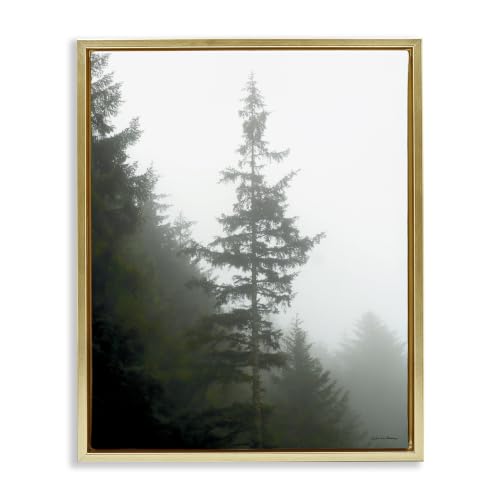 Majestic Pine Foggy Forest, 25 x 31 Inch Canvas in Floater Frame