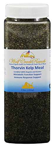 Wolf Creek Ranch Icelandic Kelp Meal - Loaded With Nutrients That Support Your