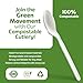 Elegant Disposables 100% Compostable PLA Spoons Bulk Pack 400 Pcs Biodegradable Disposable Plastic Cutlery Utensils 6