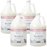 Ginger Lily Farms Botanicals Moisturizing Shampoo for All Hair Types, 100% Vegan & Cruelty-Free, Whispering Rose Scent, 1 Gallon (Pack of 4)