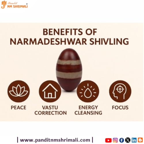 Image of PANDIT NM SHRIMALI Energized Narmadeshwar Shivling - 2 Inch | Original Narmada River Lingam | Sacred Stone for Vastu, Puja, Meditation | Shiva Lingam for Home & Office