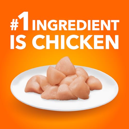 IAMS Proactive Health Healthy Kitten Dry Food – with Chicken – 1.59KG (3.5LB) Bag image 1