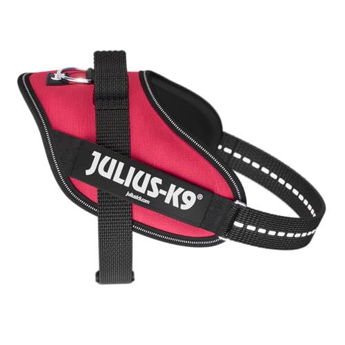 Pettorina IDC Power, Taglia: S/Mini, Viva Magenta