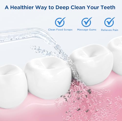 for Waterpik Replacement Heads, Replacement Tips for Waterpik Water Flosser, Suitable for Waterpik Accessories Replacement Tips, for JT-100E(6 Classic Jet Tips)