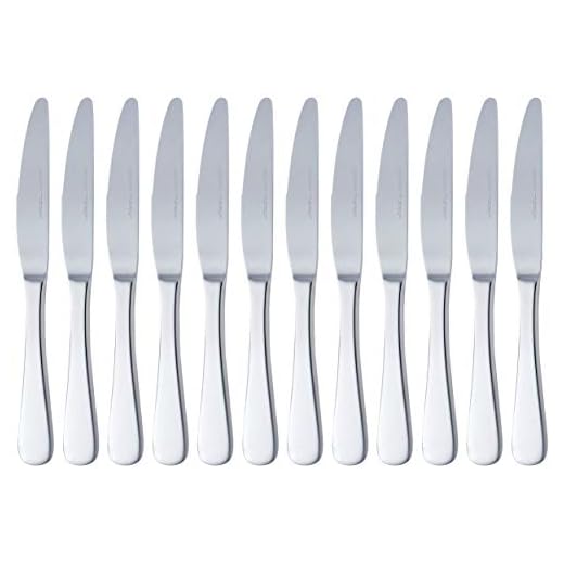 Amazon Basics Coltelli in acciaio inox con bordo arrotondato, confezione da 12, Argento