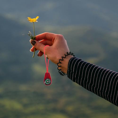 Brújulas plásticas portátiles mini 50 pcs con cordón miniatura 5