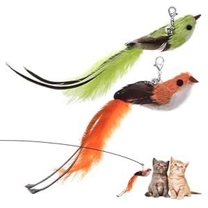2 Stück Katzenspielzeug Vogel, Katzenspielzeug Federn, Interaktives Katzenangel Ersatzfedern Anhänger mit Glöckchen, Katzen Spielzeug mit Federn, Cat Toys Federspielzeug für Katzen