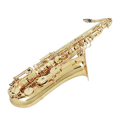 TbNX ^JBb̃ei[TbNXTbNX蕿p[zCgVF{^P[XxguVŊǊy AgTbNX [h S (Color : Gold)