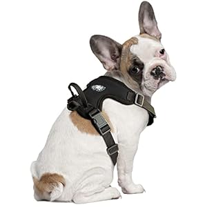 Littlearth Unisex-Adult NFL Philadelphia Eagles Front Clip Pet Harness, Team Color, Small