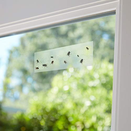 Faicuk 2E-ZRD5-YUAI 20-Pack Clear Window Fly Traps Sticky Fly Strip For Indoor Houseflies Nontoxic And Pesticide-Free thumb #4