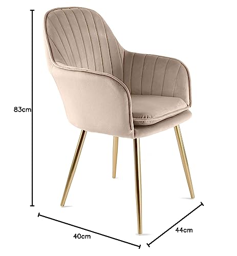 Genesis Muse - Sedia in velluto con gambe tubolari...