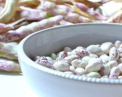 Miniatura 5 de Frijoles de arándano, 25 libras  Frijoles Borlotti secos, germinables, veganos, kosher, a granel. Buena fuente de folato, fibra dietética,