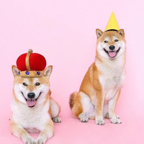 Disfraz corona y capa para perro, talla L miniatura 4
