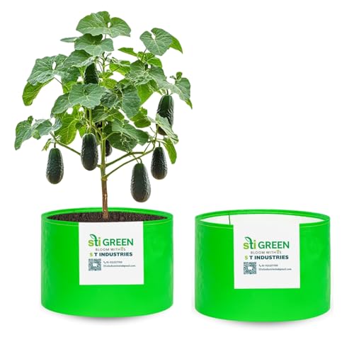 Image of HDPE Grow Bags for Plants 15X12 Inch (Pack of 2) | 260 GSM Heavy Duty UV-Protected Round Green Colour Plant Bags for Terrace and Vegetable Gardening | Strong & Reusable|