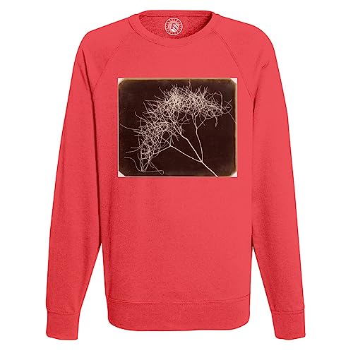 Sweat shirt homme photo de plante original aux finitions soignées