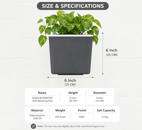 Image of Indian Discovery Self Watering Tabletop Planter| Flower Pots for Home, Terrace, Balcony, Vertical Garden Decor Flower Pots(2 PC, Grey, Square) |6 Inch UV-Resistant Plastic Plant Pots