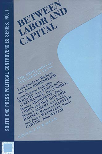 Between Labor and Capital view 2