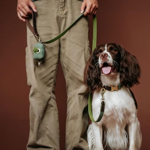 Image of Didog PU Leather Dog Collar for Large Dogs, Soft Nylon Lining, Green L