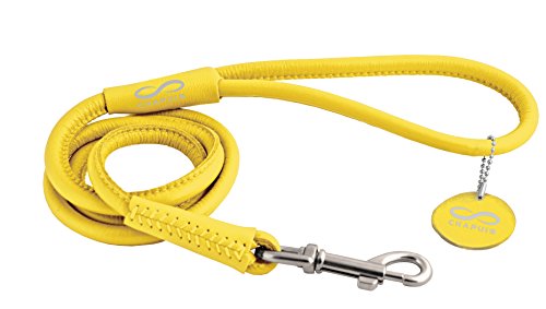 CHAPUIS SELLERIE Glamour Correa Redonda de Piel para Perro Amarillo Diámetro 10 mm Longitud 1,22 M, Talla M