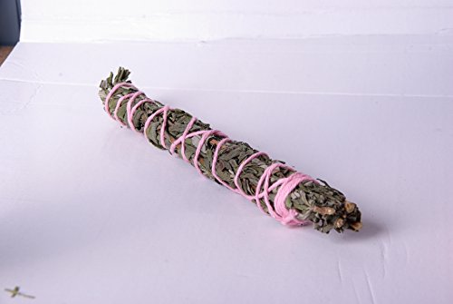 Balizas 1 A Las Manchas de colibrí/Hummingbird Sage (Salvia Mellifera) olores como miel