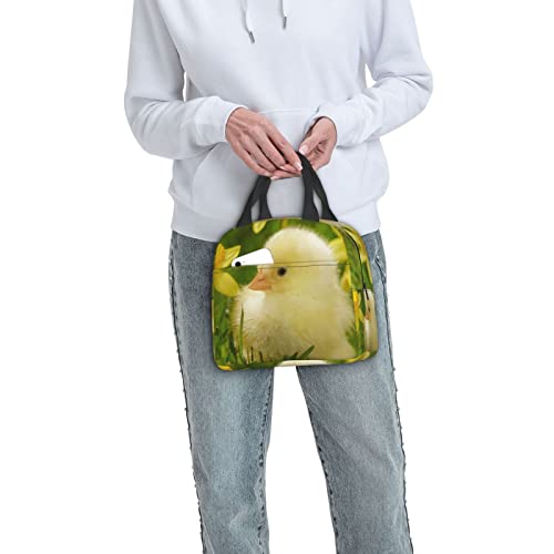 Debou Cute Baby Ducks Insulated Lunch Bag Cooler Tote Reusable Leakproof Lunch Box Easy Clean For Work Office Picnic Beach Or Travel #TOP7