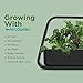 AeroGarden Sprout - Indoor Garden with LED Grow Light, White