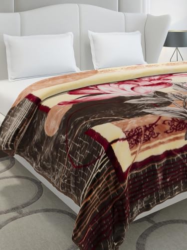 Image of Monte Carlo Double Bed Heavy Winter Blanket Marshal 2 Ply 850 GSM | 4.5 KG (240x220 CM), Brown