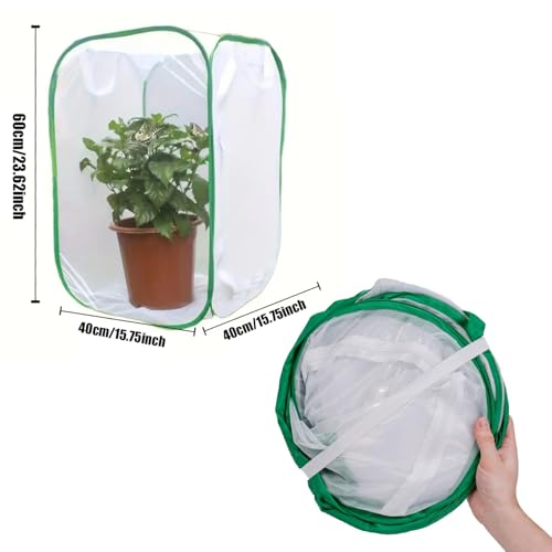 Cage chenilles pliable et transparente pour observation de plantes et insectes