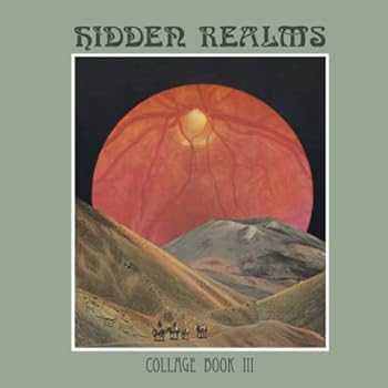 Paperback Hidden Realms Collage Book III Book